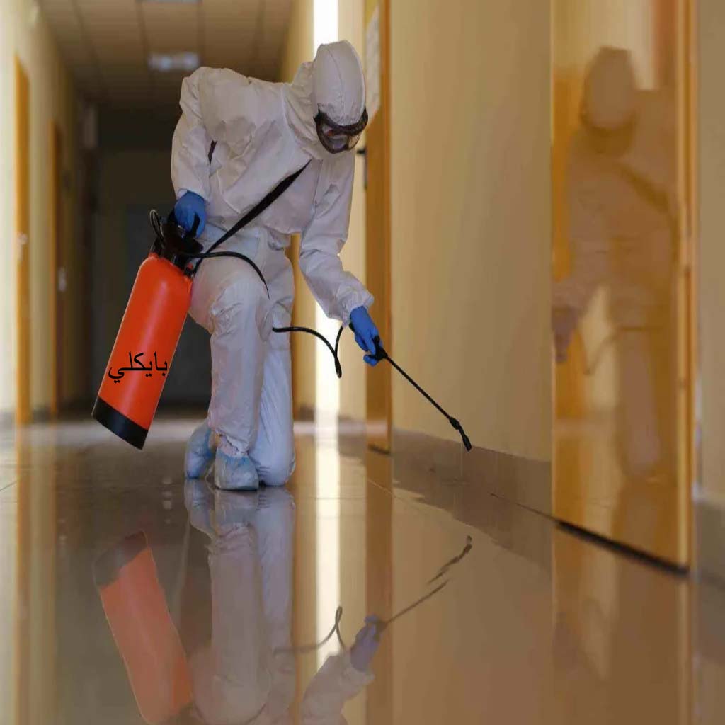 خدمات مكافحة الحشرات